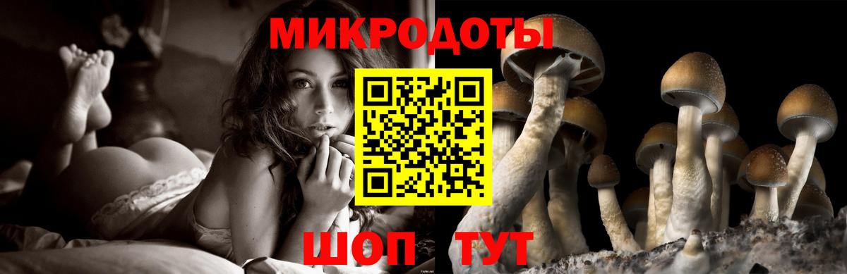Нерюнгри  Псилоцибиновые грибы Magic Shrooms  Вход с VPN 